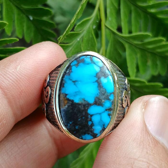 natural pirus persia biru ceplok