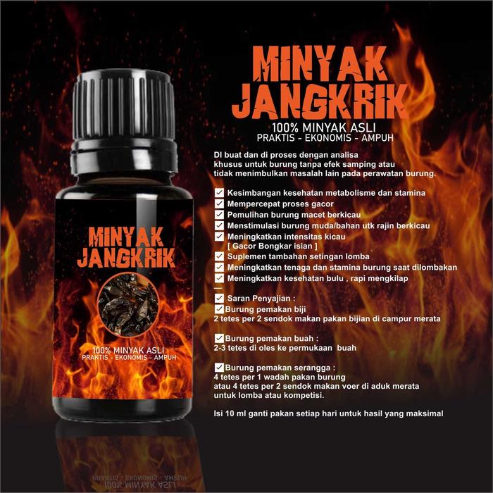 BEE STRONG VITAMIN BURUNG SUPLEMEN OBAT PENGGACOR BURUNG MURAI KACER