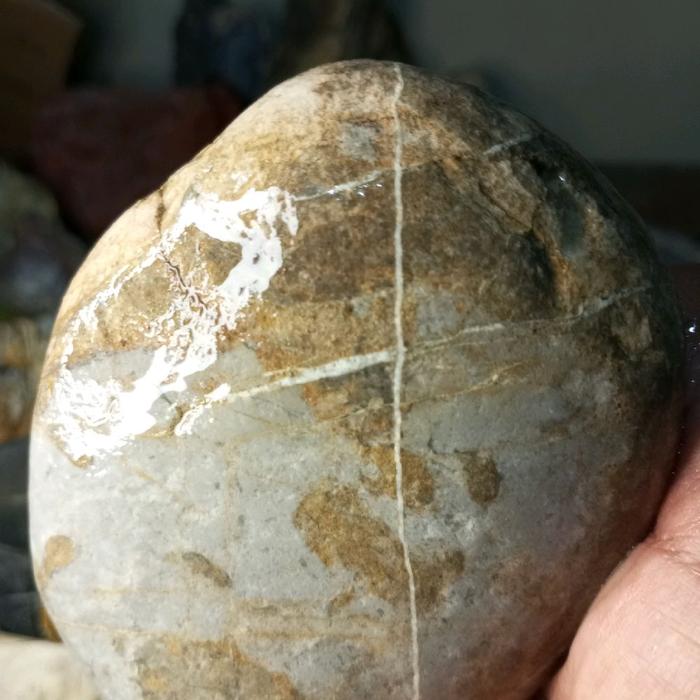 batu tapak jalak temuan dilaut garut