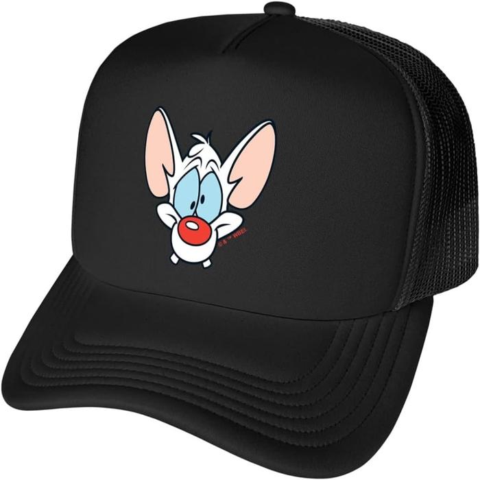 Popfunk Official Pinky and The Brain Pinky Head Foam Snapback Trucker Hat - Unisex for Men and Women