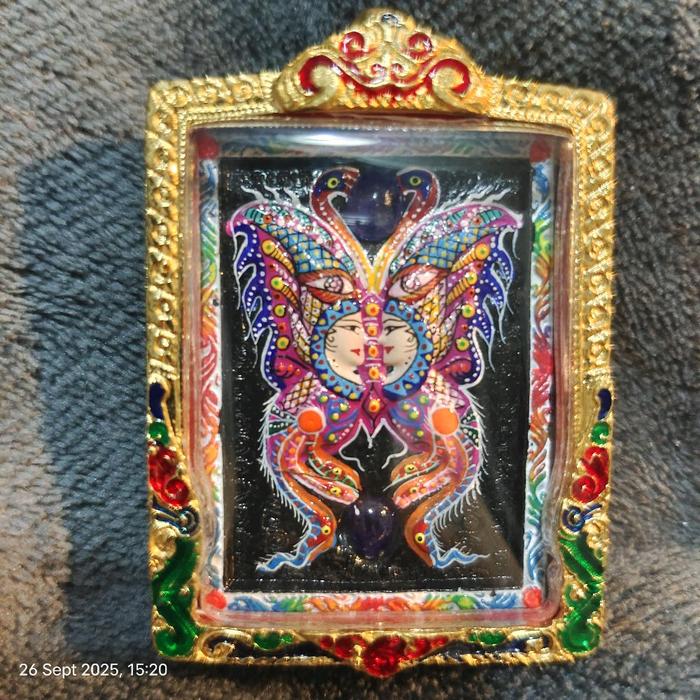 Butterfly , Kruba krisana  Jumbo size .