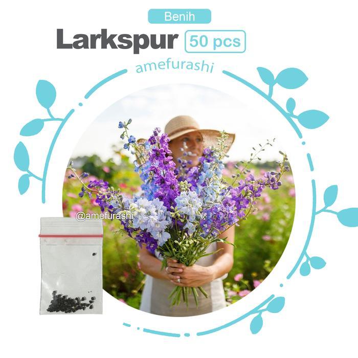 Bibit / Benih / Seeds Bunga Matahari Lokal Sunflower - larkspur 50