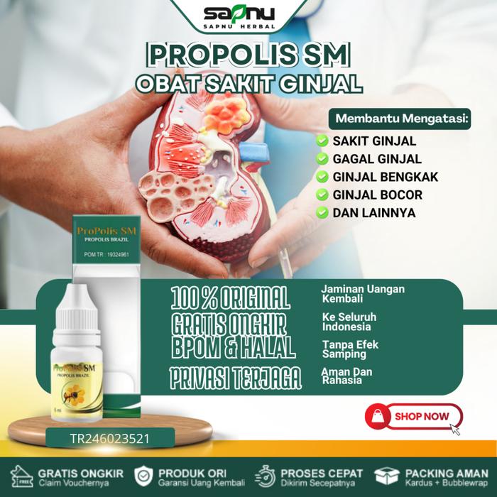 OBAT GINJAL BENGKAK GINJAL BOCOR GINJAL KRONIS GAGAL GINJAL CUCI DARAH INFEKSI GINJAL BATU GINJAL GI