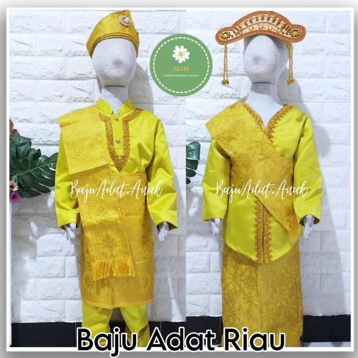 Baju Adat Riau Anak | Pakaian Tradisional Kepulauan Riau | Baju Daerah Riau Anak Laki-Laki | Baju Ad