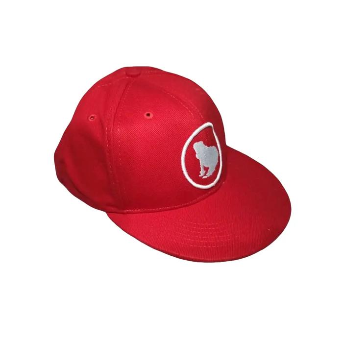 BARANG LANGKA.. .. . topi snapback FROGSTONE ORIGINAL, CLASSIC LOGO warna merah