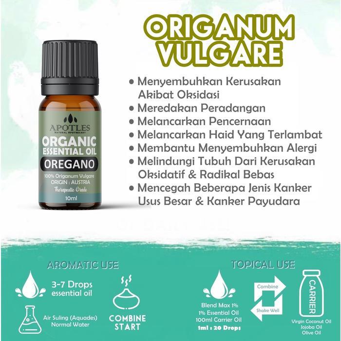 {{ Oregano Essential Oil - Minyak Aromaterapi Oregano Essential Oil Murni Ready }}