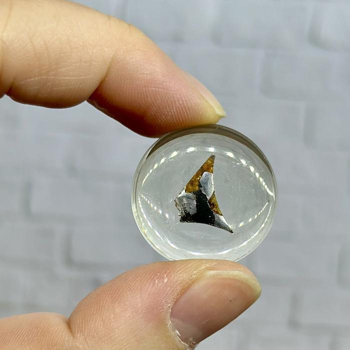 Batu Pallasite Meteorite raw sericho