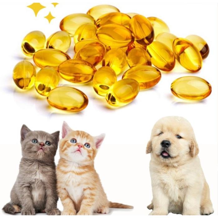 MULTIVITAMIN SUPER DOKOH PENAMBAH BERAT BADAN & NAFSU MAKAN HEWAN SAPI