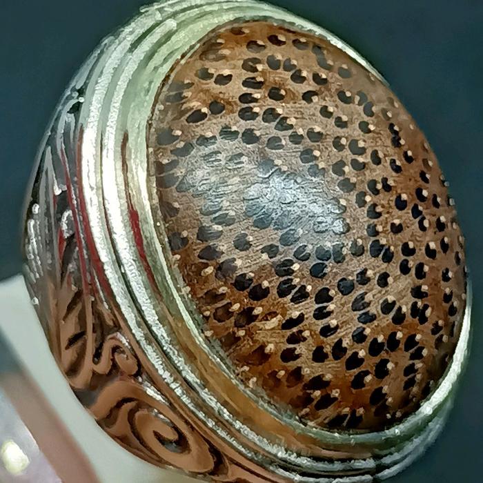 Cincin Batu Fosil Kayu Liwung , Natural