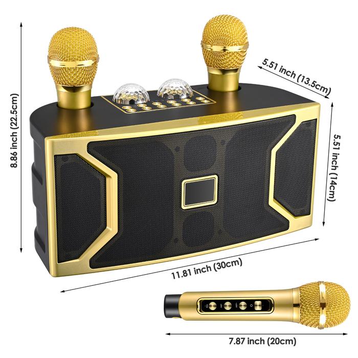 Speaker Bluetooth Nirkabel Desktop DSP Profesional Mikrofon Ganda