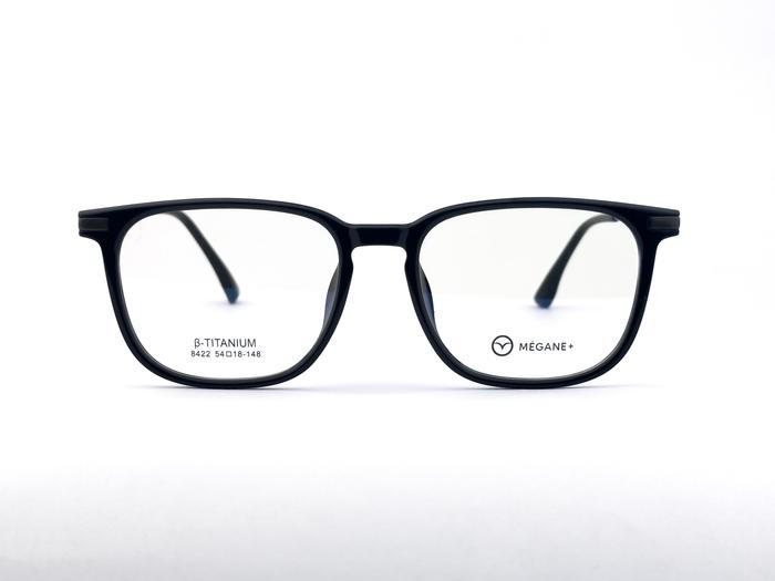 Frame MEGANE B- TITANIUM 8422
