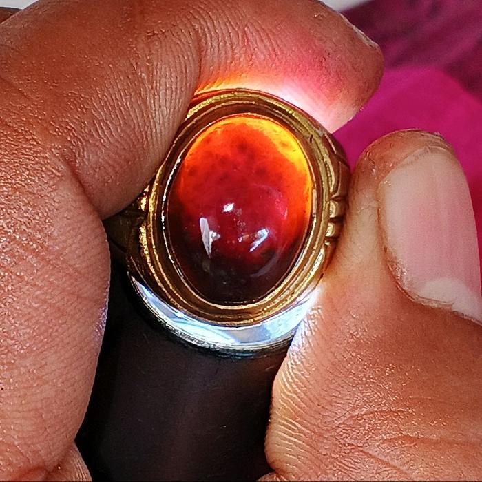 cincin batu akik fosil ulung cahaya merah. batu fosil kelor
