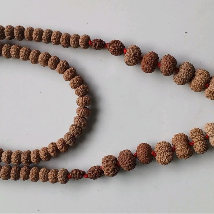 Rudraksha 1_21 mukhi mala 108