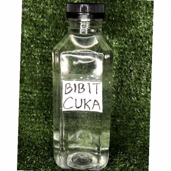Cuka pematang kemiri muncang adu | Kekinian