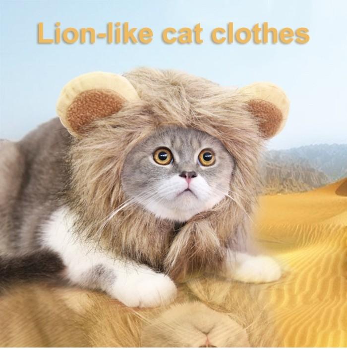 Wig Singa Dengan Telinga/ Wig Singa Untuk Kucing/ Wig Singa Untukhewan Termurah