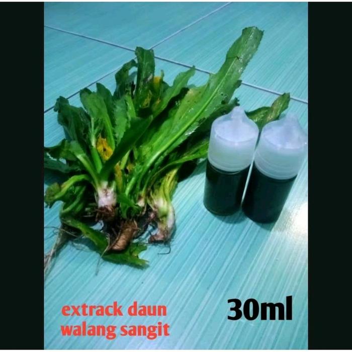 essen nila extrac daun walang sangit