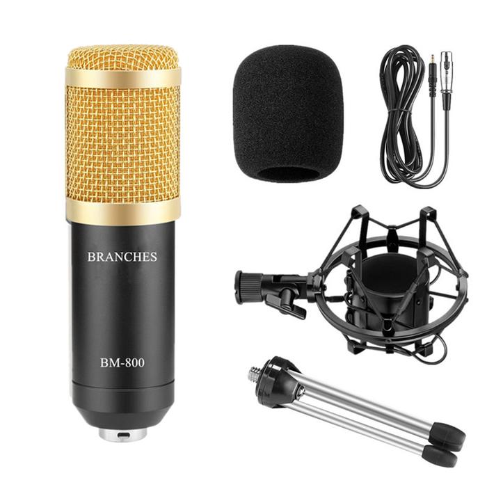 BM-800 Professional Condenser Microphone BM800 Kit:Microphone For