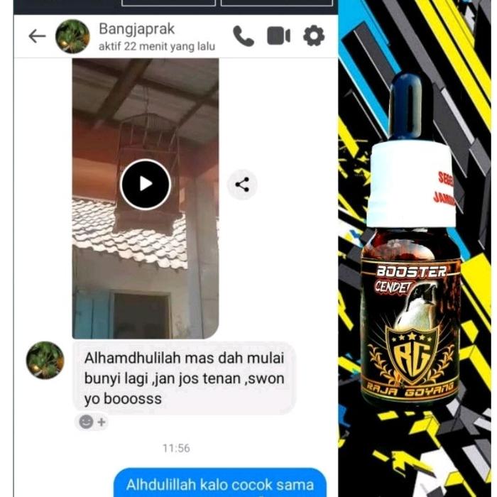 METABOLISME BURUNG KICAU DR. EDHI VITAMIN BURUNG OBAT BURUNG SAKIT