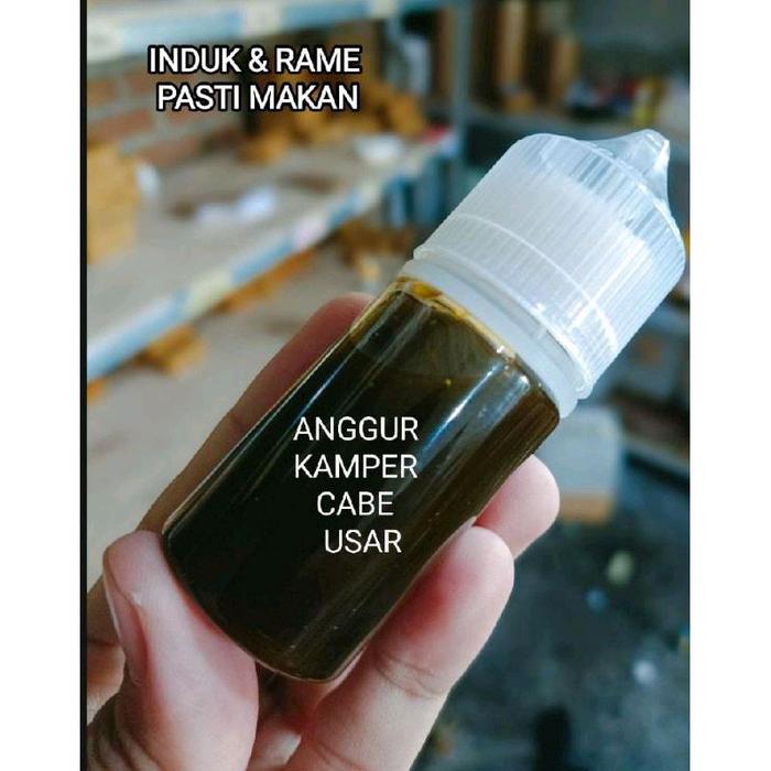 essen Oplosan Anggur Kamper Cabe Usar,essen paling bagus siang malam