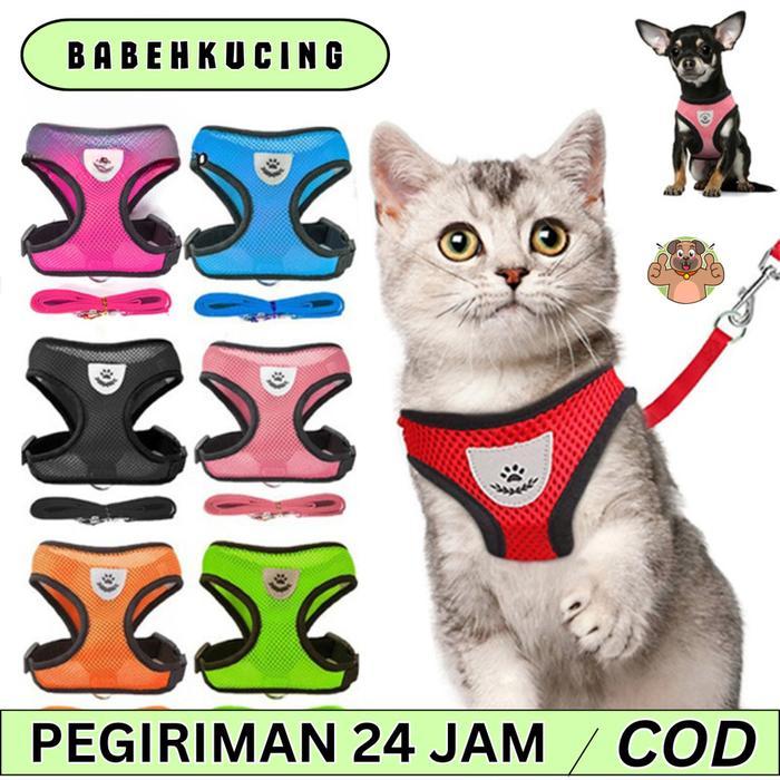 babepetshop Tali Tuntun Murah Kucing Anjing Kelinci Musang Monyet dan Hewan Lain Tali Harness Rompi
