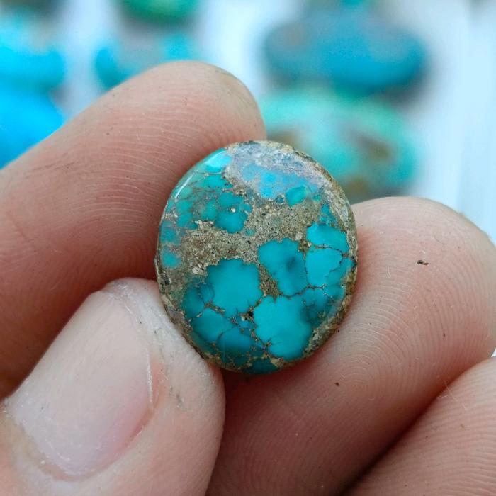 pirus persia dimensi mini top quality