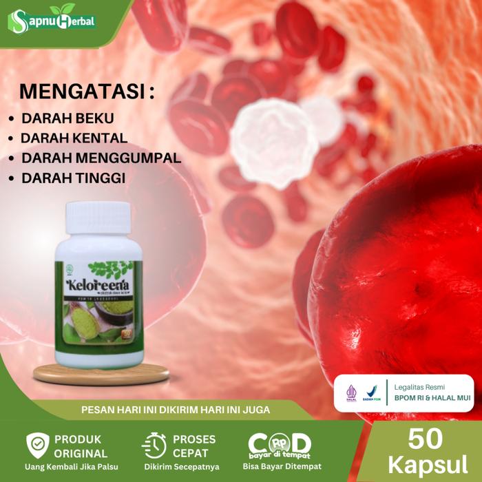 SAPNU HERBAL - OBAT PENGENCER DARAH BEKU, DARAH KENTAL, DARAH KOTOR, GUMPALAN DARAH, PEMBEKUAN DARAH