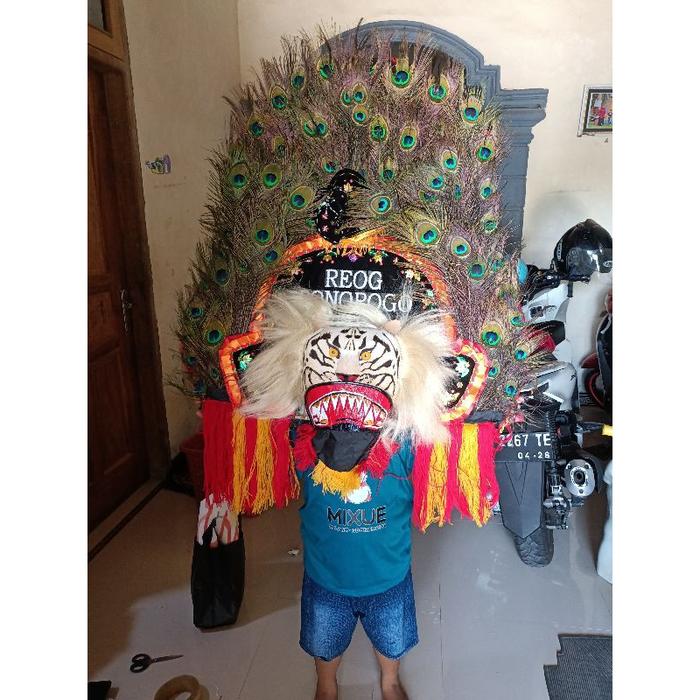 REOG. REOG MINI. REOG MAINAN. REOG MINIATUR. DADAK. DADAK MERAK. DADAK MERAK MINI. DADAK MERAK MINIA