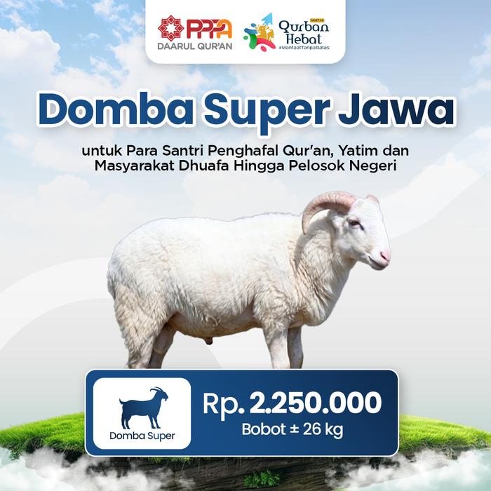 Qurban Domba Super Jawa bobot ±26 kg
