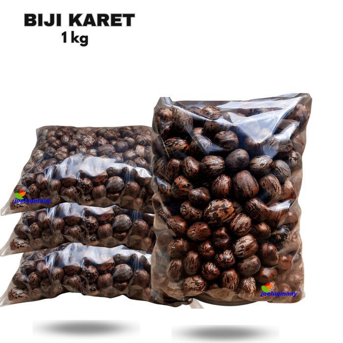 Biji Karet Kiloan Kualitas Terbaik Promo !