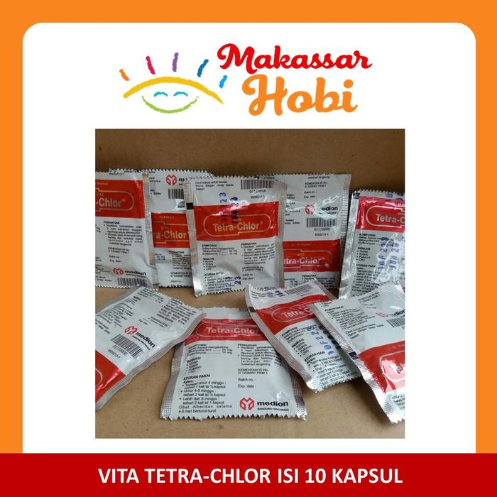 Calsium anak ayam campuran makan anak ayam laga ayam petarung bangkok