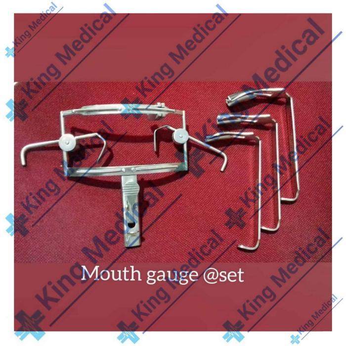 Dingman Mouth Gag Set Premium Quality