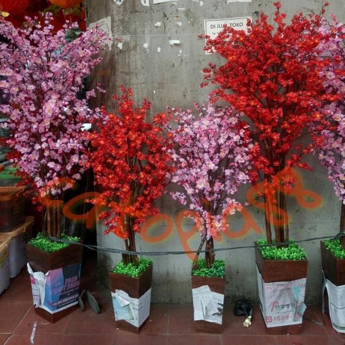 > Pohon Imlek Meihua Sincia Angpao Sakura Xincia Tanaman Pot Bunga Mehwa Rr