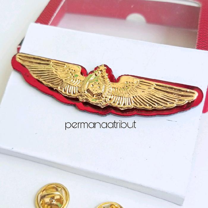 PIN BROS WING NUSANTARA LESTARI JAYA PSDKP
