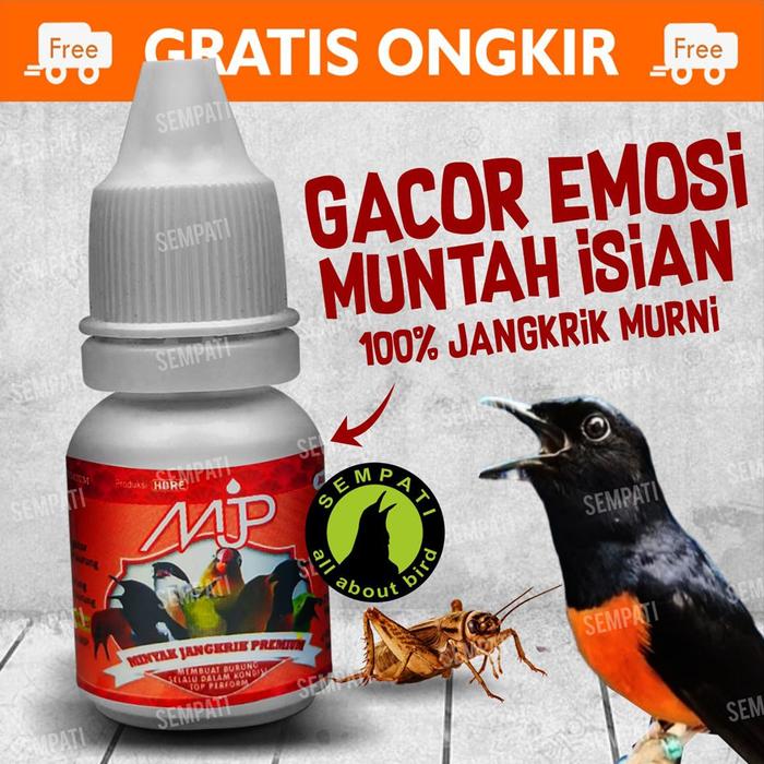 Sup Plus Bird Vitamin Burung Doping Penggacor Burung Lovebird Kenari