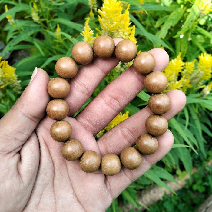 Gelang galih kantil merah lawasan original ngurak alam kualitas top kolektor item ukuran jumbo