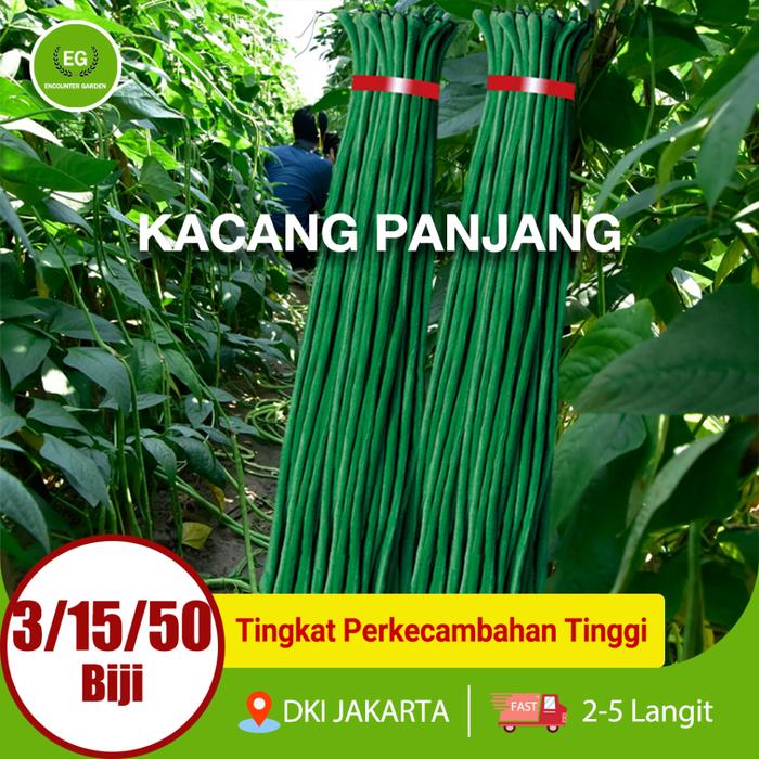 Benih Kacang Panjang Super-Hijau