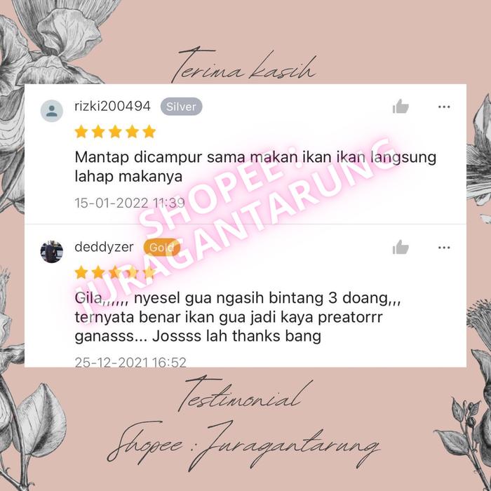ECERAN KETAPANG TABLET PLUS vitamin C ikan hias cupang colour enhancer