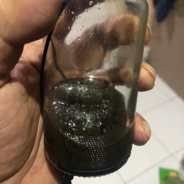 Untalan akar rangkahirang