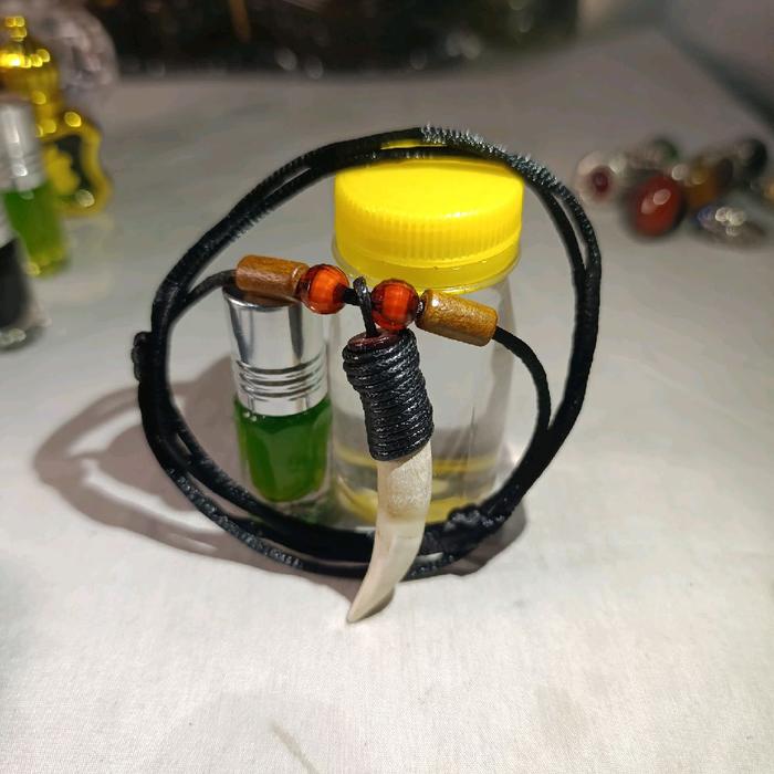 kalung taring buaya sarana keselamatan