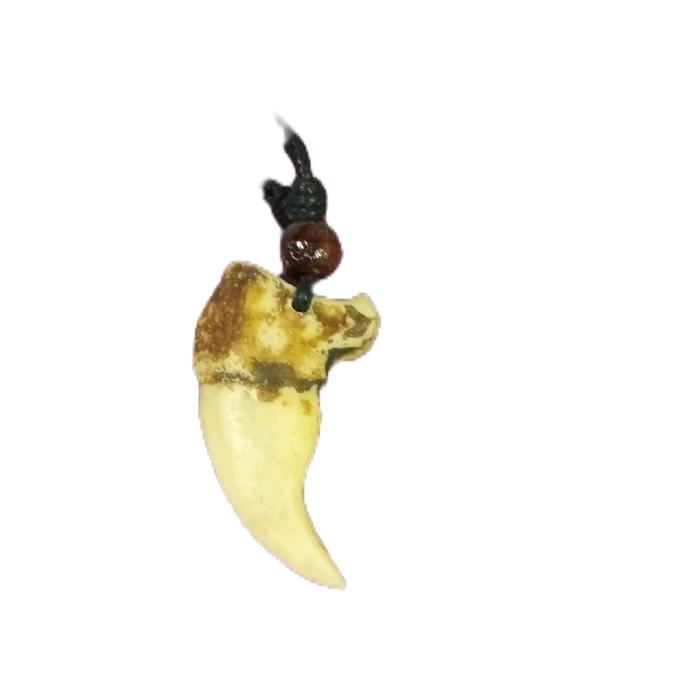 kalung etnik kuku harimau
