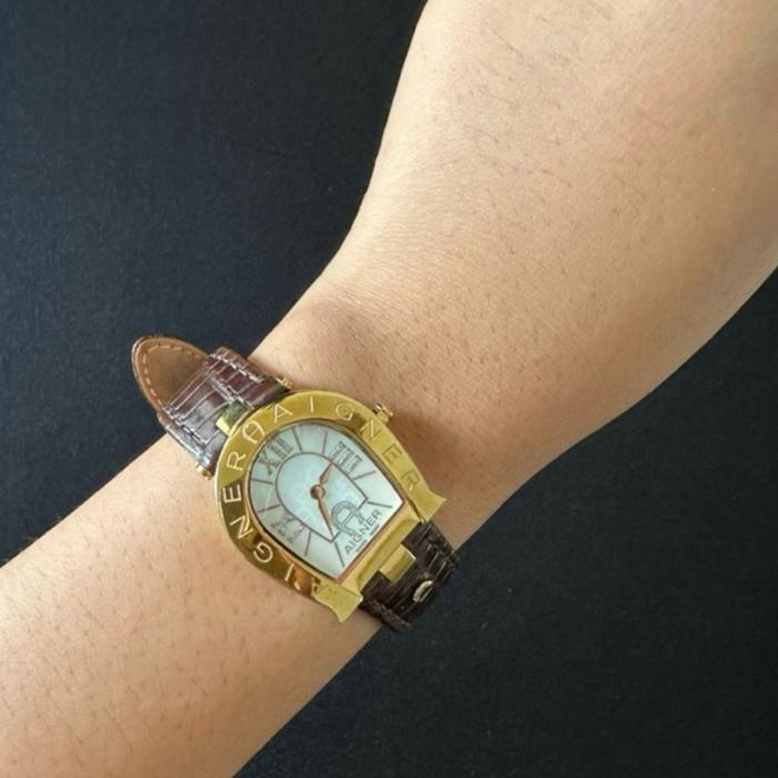 Aigner Acerra A32200 Watch