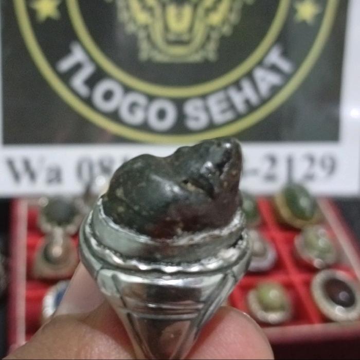 Mustika Keong Buntet Selonatah Lengket Magnet Lolos Dor 5x Langka Unik - Tlogo Sehat