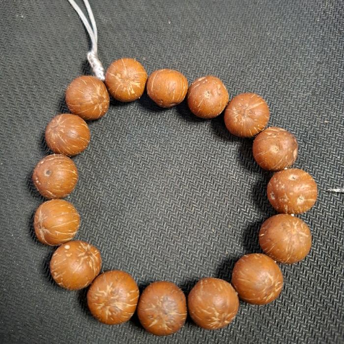 gelang original biji klapamini atau biji palem raja