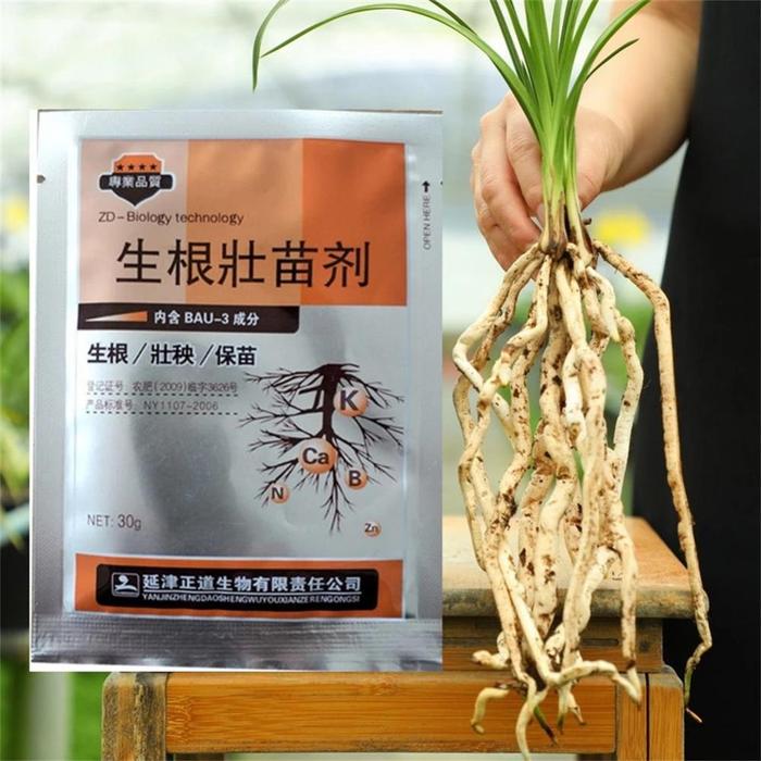 5pcs Rapid Rooting Powder Water Soluble Strong Rooting Growth Hormone