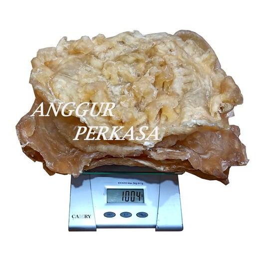 Perut Ikan Kerapu  Gelembung Ikan Kerapu  Hipio  Hupio  Fishmaw