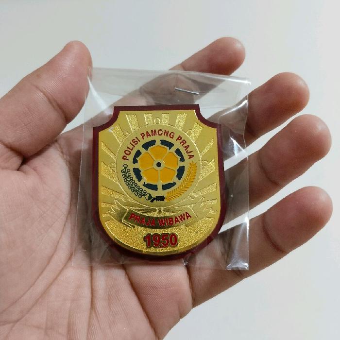 kewenangan pol pp/kewenangan pol pp mika/kewengan pol pp magnet