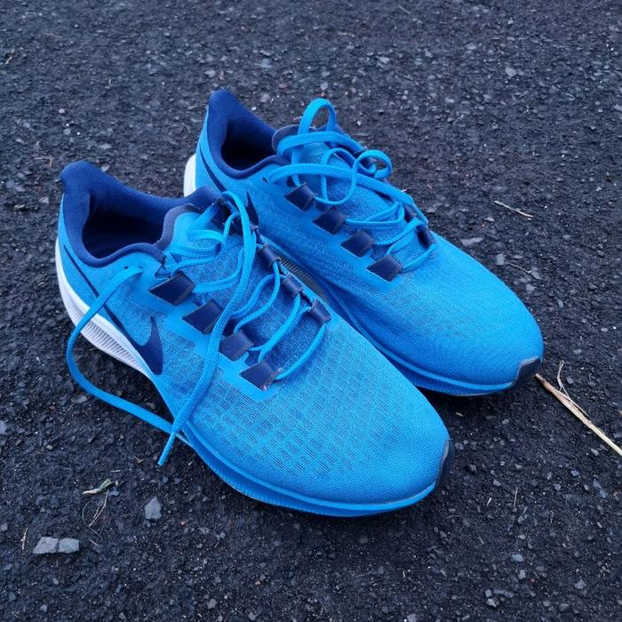 Sepatu Running Nike Zoom Pegasus 37