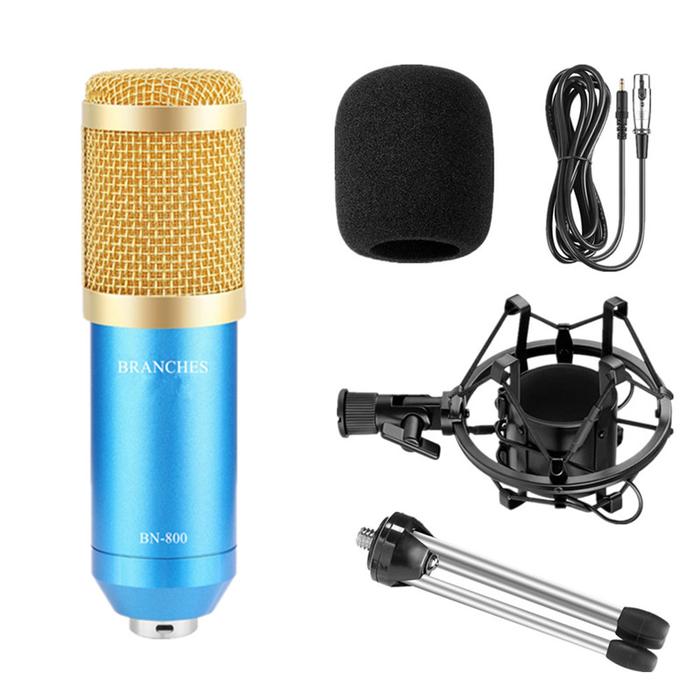 BM 800 karaoke microphone BM800 studio condenser mikrofon mic bm-800