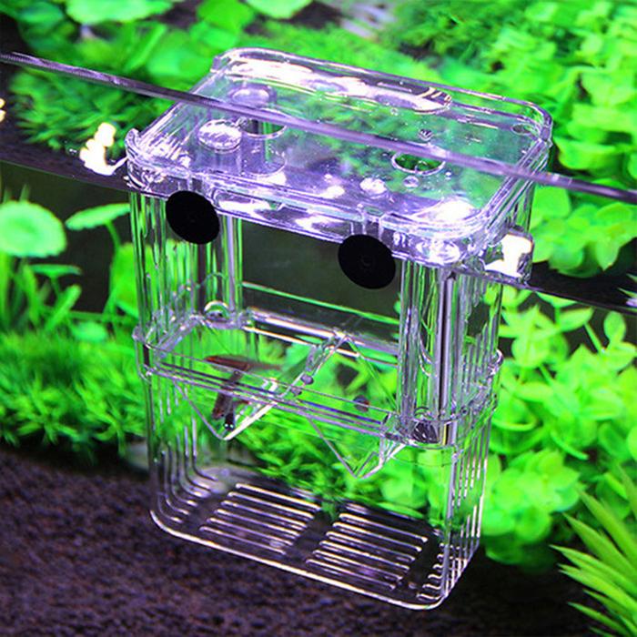Breeding Box Ikan Guppy Molly / Isolation Box / Karantina ikan S, L