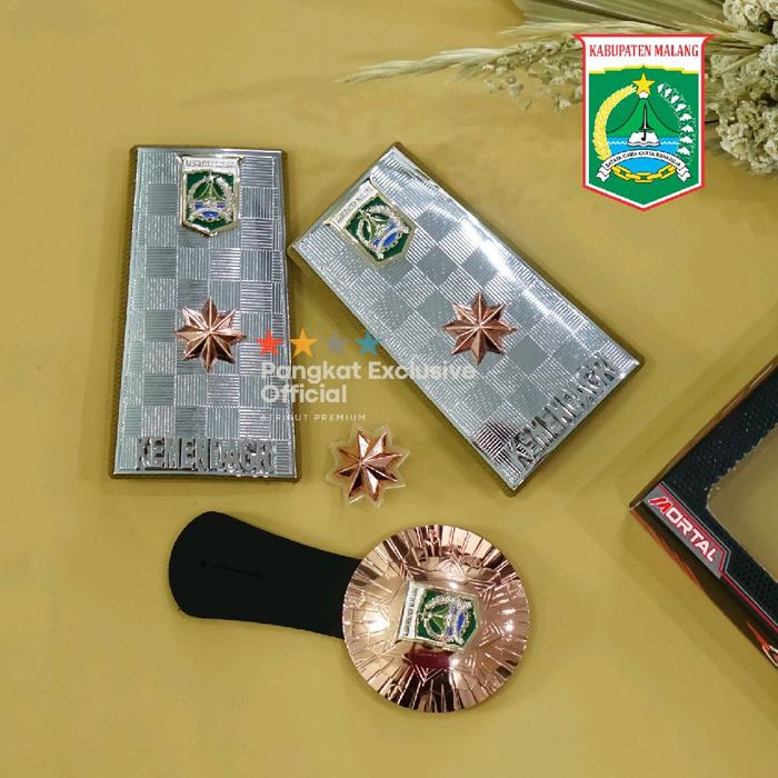 KAB MALANG- PANGKAT ESELON 2 KEPALA DINAS PERMENDAGRI 2024 PIN KERAH KADIS, STAFF AHLI